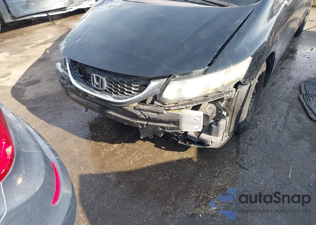 19XFB2F5XEE229299: 44355254