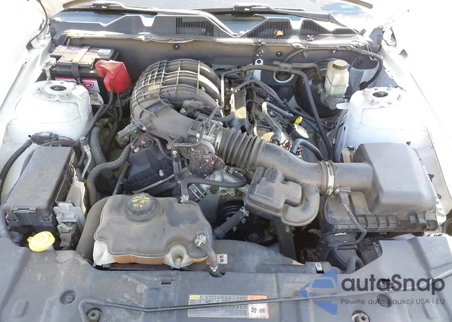 1ZVBP8AM1E5243473: 44355402