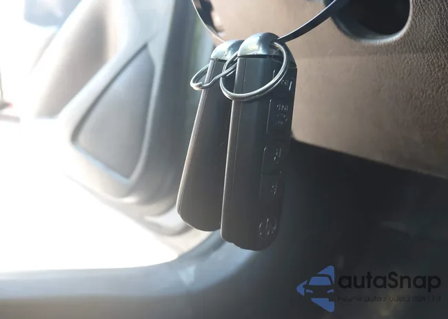 3MYDLBYV5KY523383: 44354546