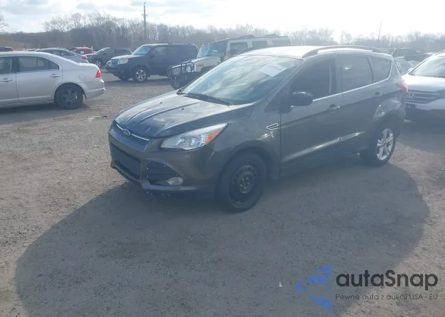 1FMCU9GX7GUC03619: 44355945