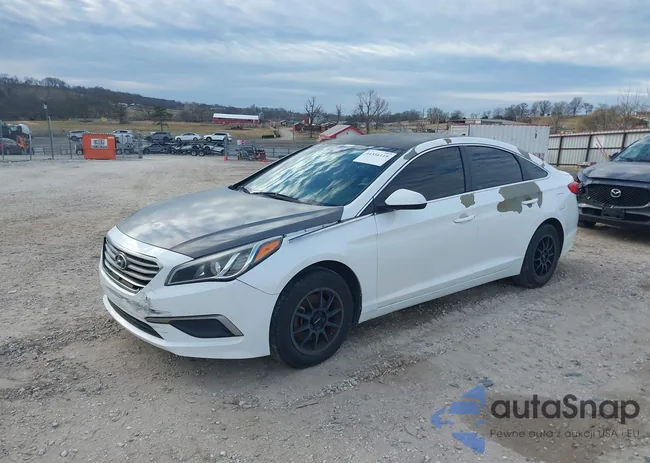 5NPE24AF2HH511802: 44356119