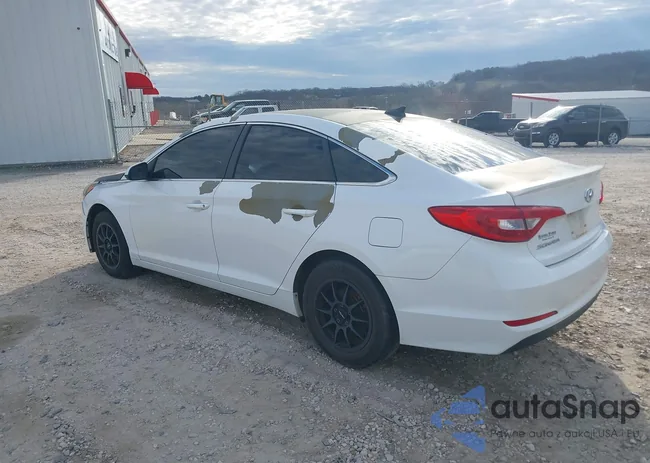 5NPE24AF2HH511802: 44356119