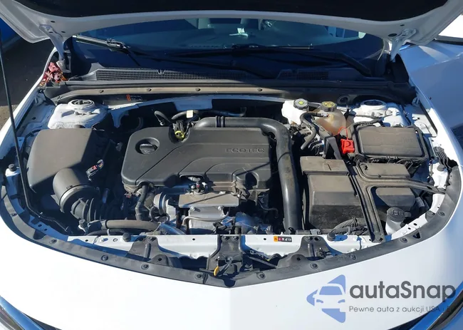 1G1ZD5ST8RF147069: 44356992