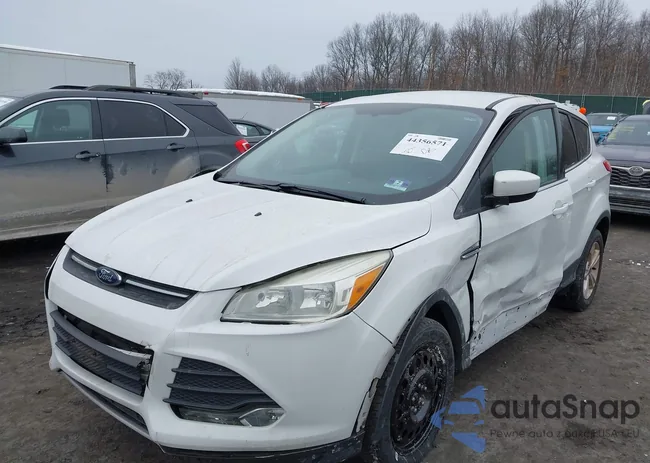 1FMCU9GX6FUC89875: 44356571