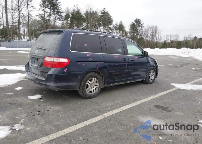 5FNRL38767B006267: 44358017