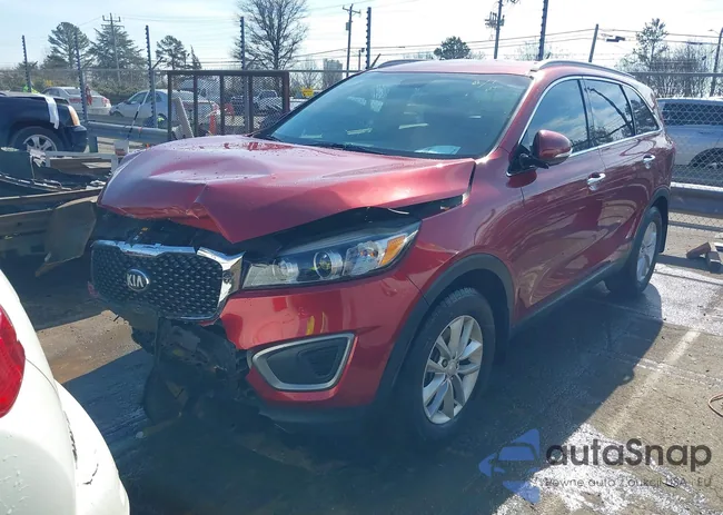 5XYPG4A31GG034852: 44358480