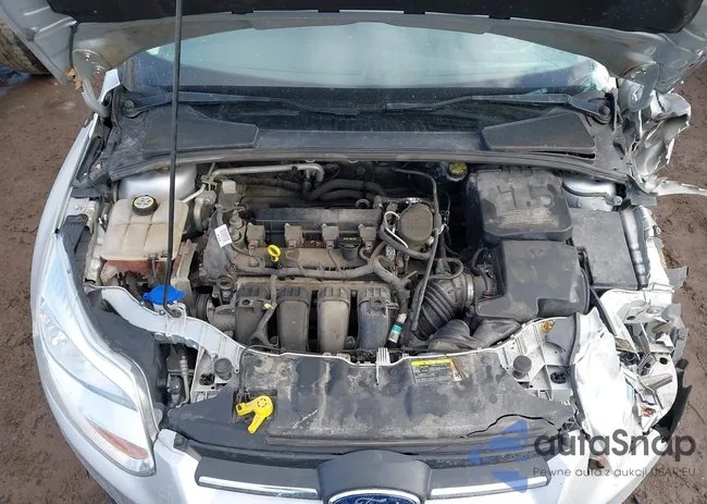 1FADP3K29DL199542: 44359250