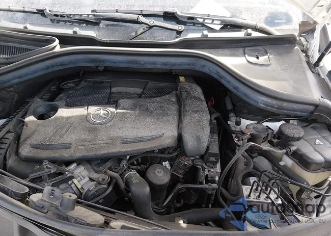 4JGDA5HB5DA234065: 44359423