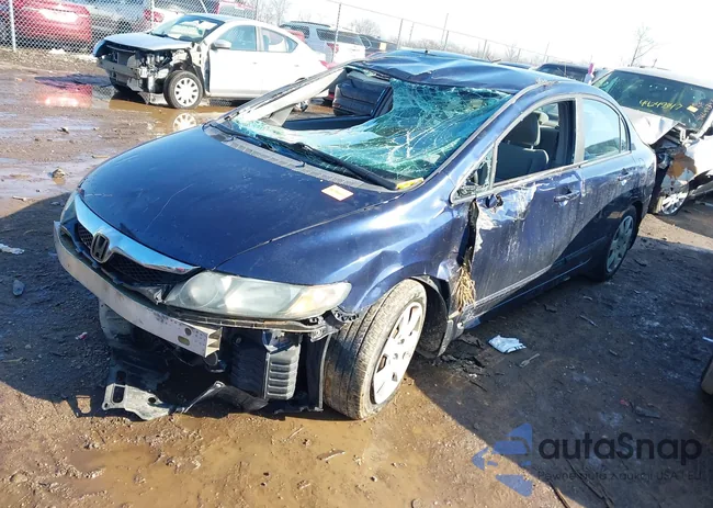 19XFA1F54BE031780: 44358833