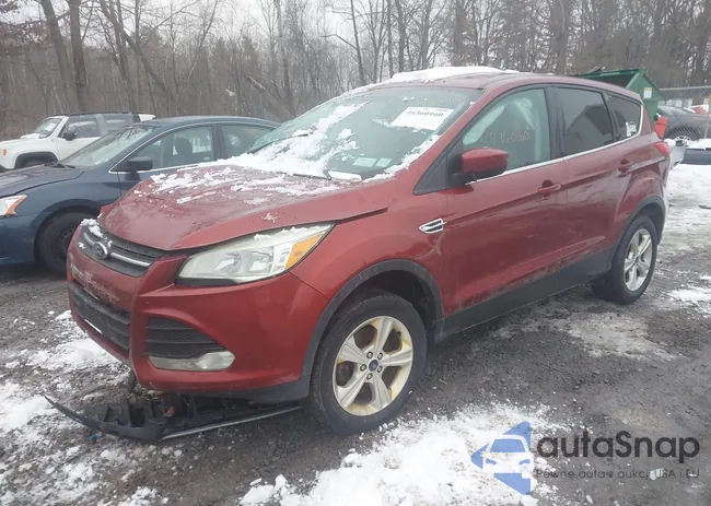 1FMCU9GX5FUC53174: 44360160