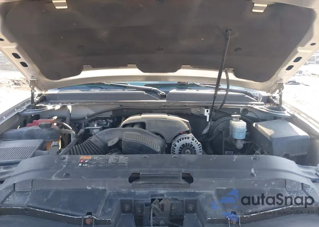 3GNTKGE3XBG350955: 44360246