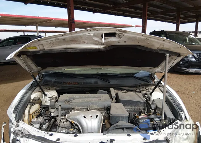 4T1BE46K89U909390: 44360341