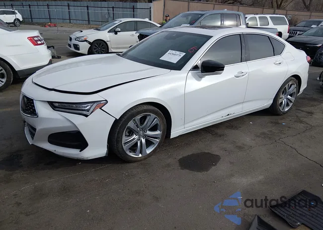 19UUB5F45MA007014: 44360375