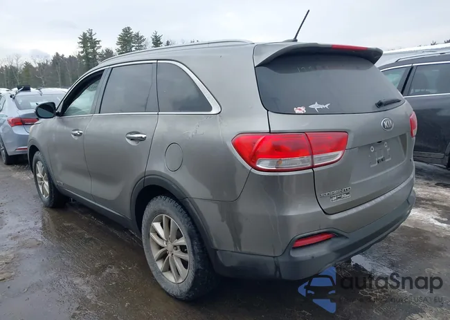 5XYPGDA53HG202493: 44361226