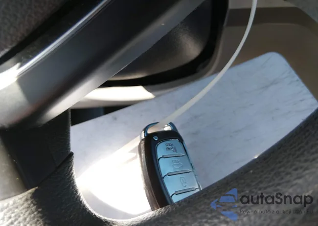 KMHE24L10GA013889: 44361342