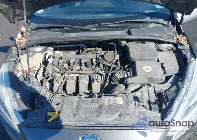 1FADP3N26GL203529: 44361511