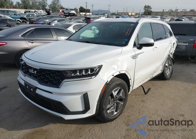 KNDRG4LG2N5081550: 44360856