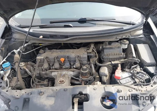 19XFB2F90FE250490: 44362072