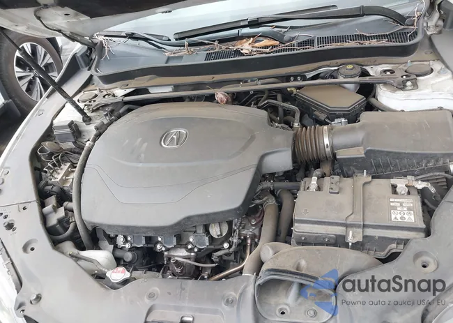 19UUB2F52FA023021: 44362492