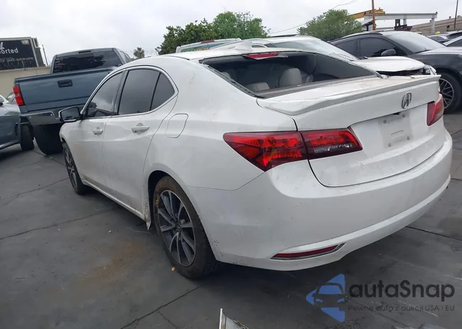 19UUB2F52FA023021: 44362492