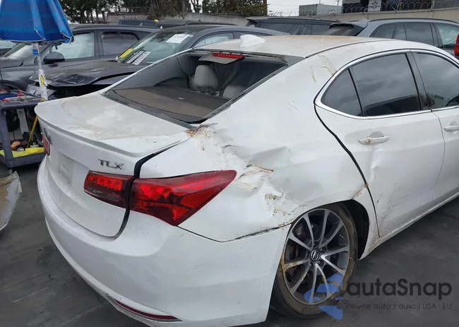 19UUB2F52FA023021: 44362492