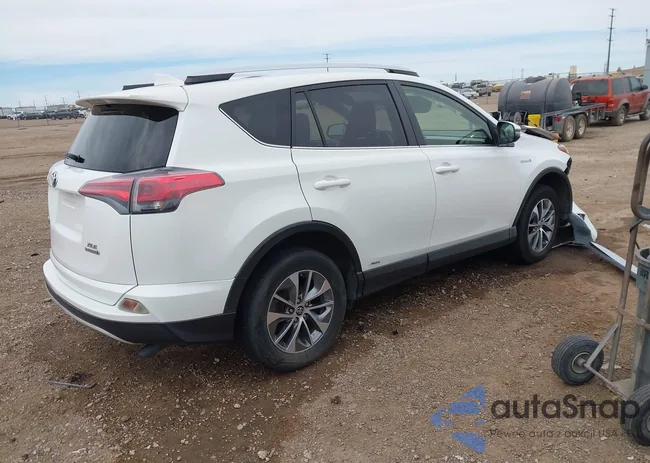 JTMRJREV6GD003677: 44361568