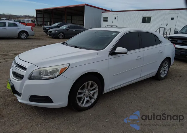 1G11C5SA5DF156853: 44363530