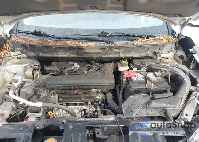 KNMAT2MVXHP527964: 44364139