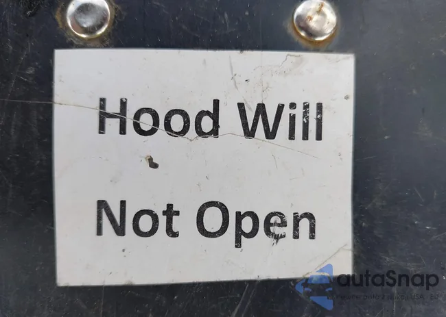 3TMLU4ENXFM201312: 44363653