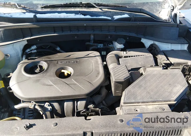 KM8J2CA44KU858824: 44365347