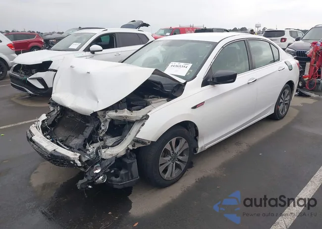 1HGCR2F30FA195604: 44365354