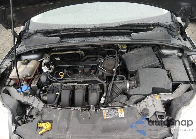 1FADP3F29EL436414: 44365951