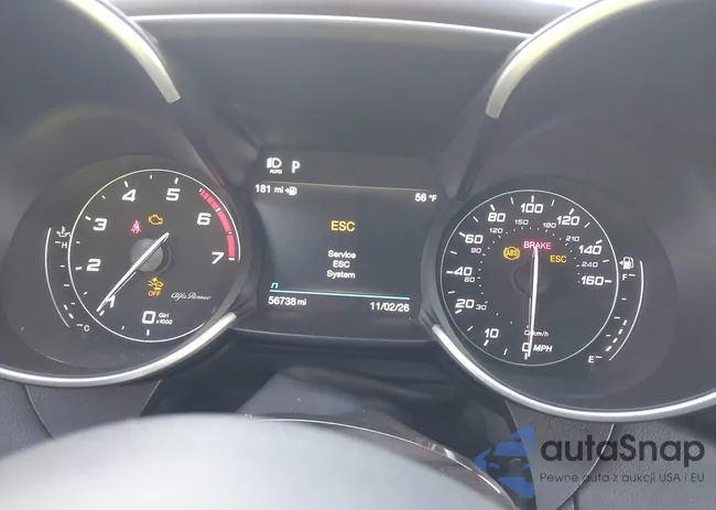 ZARFAMBN6P7671283: 44366369