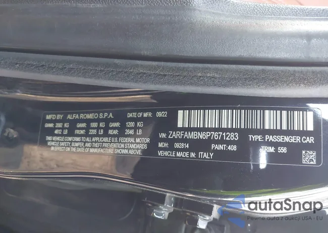 ZARFAMBN6P7671283: 44366369