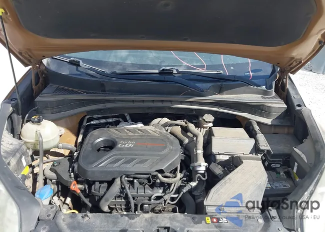 KNDPR3A65H7202733: 44365523