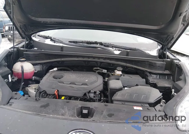 KNDPMCAC2M7902207: 44367079