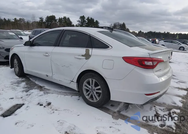 5NPE24AF2GH394804: 44367351