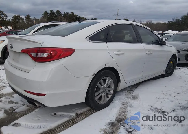 5NPE24AF2GH394804: 44367351