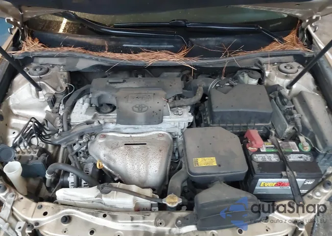 4T1BF1FK1CU051831: 44366579