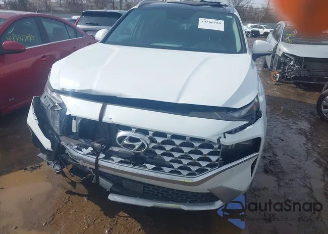 5NMS4DAL9MH341383: 44366586