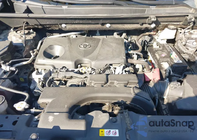 2T3W1RFV5KW041768: 44366703