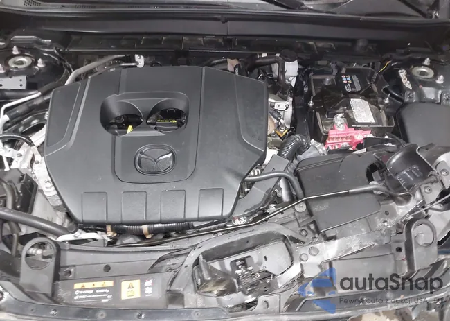 3MVDMBCMXRM655551: 44366888