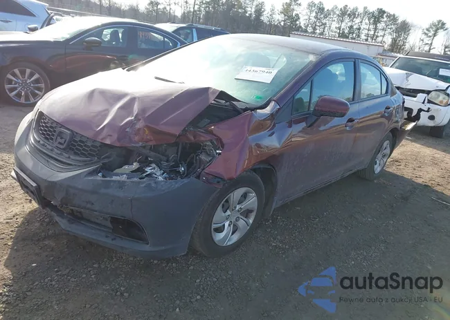 19XFB2F58FE048686: 44367940