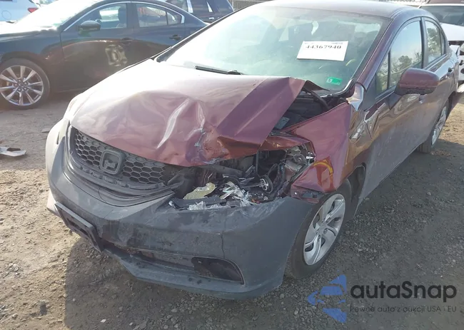 19XFB2F58FE048686: 44367940