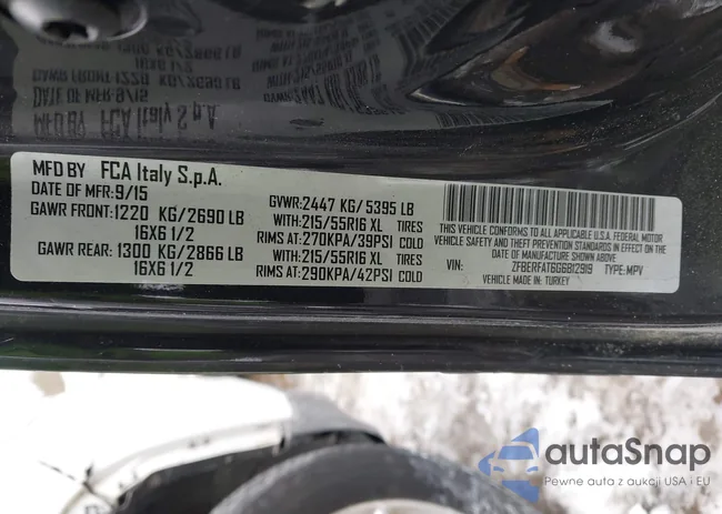 ZFBERFAT6G6B12919: 44367944