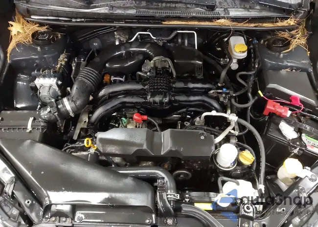 JF1GPAA67GH307461: 44370390