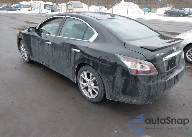 1N4AA5AP8CC800256: 44369616