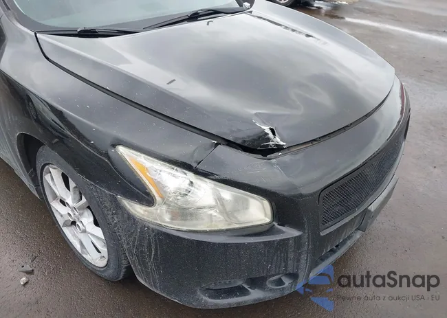 1N4AA5AP8CC800256: 44369616