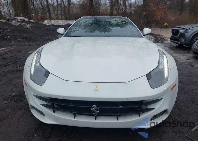 ZFF73SKA0G0216109: 44369654