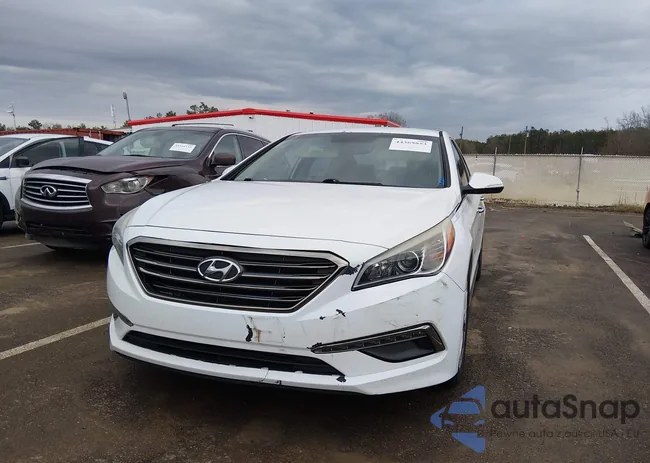 5NPE34AF4FH204531: 44369853